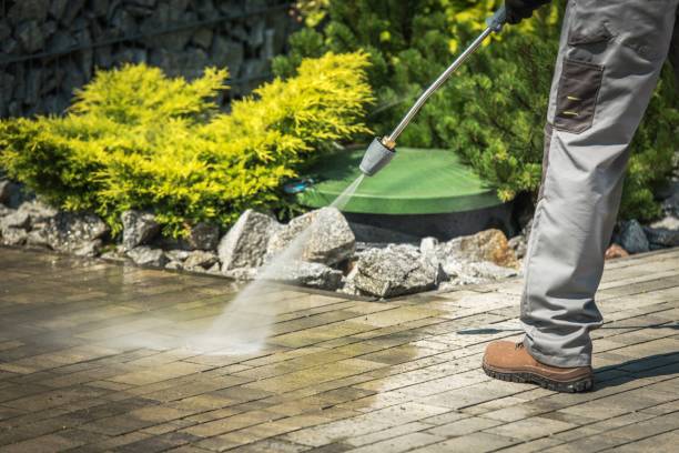 Best Gutter Cleaning  in Delshire, OH