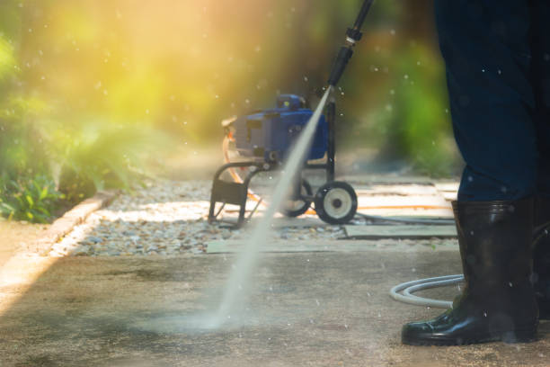 Best Solar Panel Cleaning  in Delshire, OH